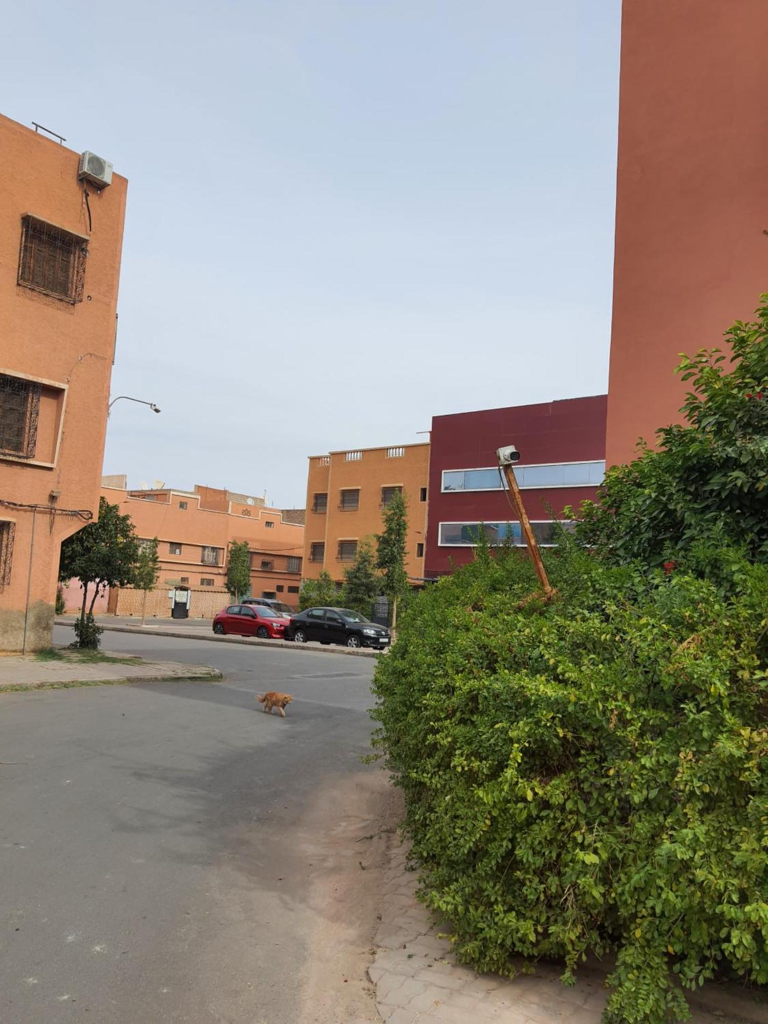 Apartamento Marrakech Marrakesh Exterior foto
